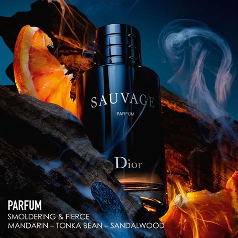 parfum dior sauvage pas cher|Dior Sauvage unisex.